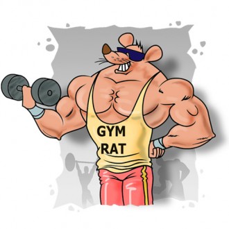 gym rats